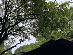 -兴福老面馆(寺路街店)