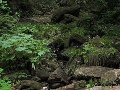 -素山寺森林公园