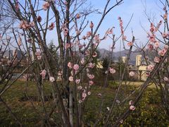 -太和山风景区