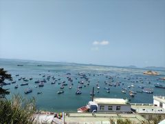 -枸杞岛