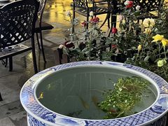 -五悦北平四季涮肉·烧烤(老商埠店)