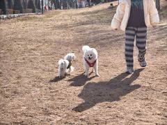 -小意思咖啡店(草桥店)