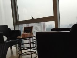 -ＤＯＭＯプロの美容サロン