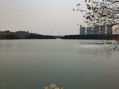 -广东花都湖国家湿地公园