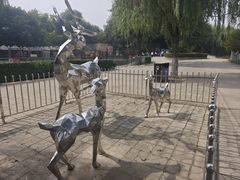 -保定市动物园
