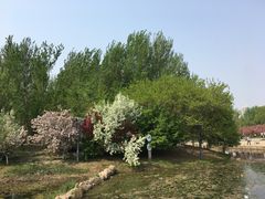 -长白岛森林公园