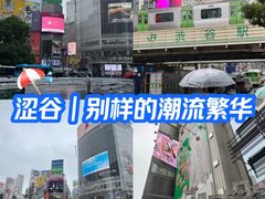 -涩谷区