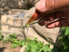 -碓臼峪自然风景区