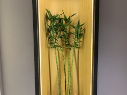 -FineYoga梵音瑜伽·普拉提