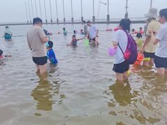 -碧海金沙