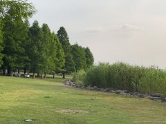 -苏州东太湖生态园