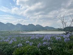 -云漫湖生态度假公园