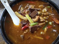 鸭血鸡杂煲-晶泽丽琅·鱼鲜川菜(川师店)