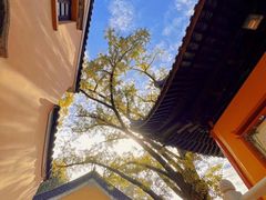 -灵谷景区