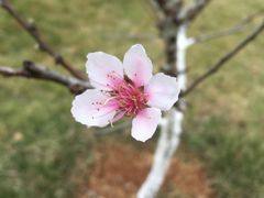 -神光山国家森林公园