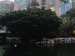 -九龙公园