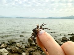 -深圳湾公园(南山区)