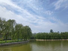 -杨柳青庄园