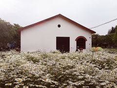 -鹅湖玫瑰文化园