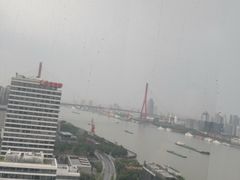 -柳州肥姨妈大骨螺蛳粉(双阳路店)
