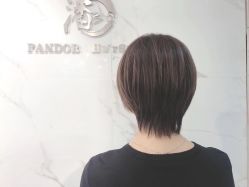 -潘多拉Hairsalon