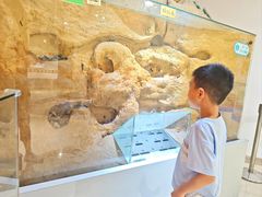 -上海昆虫博物馆