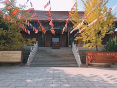 -龙口南山旅游景区