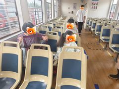 -白洋淀景区