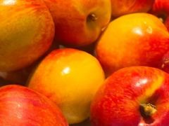 -龍歌自助小火锅(城阳万象汇店)