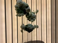 -華府Deluxe(兴业太古汇店)