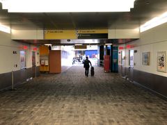 -纽瓦克自由国际机场