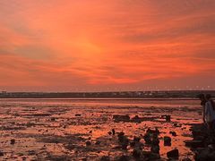 -宝安西湾红树林湿地公园