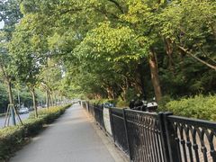 -黄兴公园