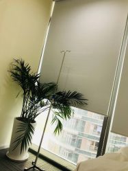 -贞禾医美·连锁