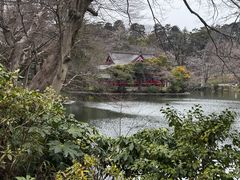 -井之头恩赐公园