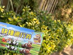 -广州长隆野生动物世界