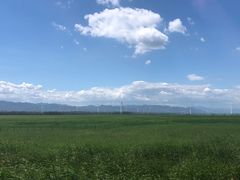 -野鸭湖国家湿地公园