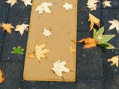 -回龙观体育文化公园