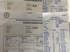 -奈斯宠物医院·核磁CT·异宠专科·内镜(中南店)