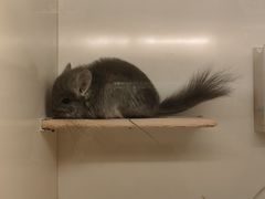 -龙猫仔乐园(惠福东路店)