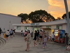 -碧海金沙