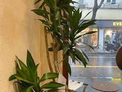-Radar Coffee(思南路店)