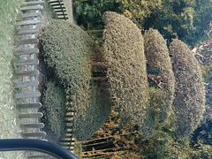 android_upload_pic-苏州河梦清园环保主题公园