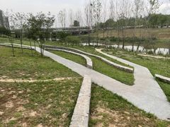-洨河生态公园