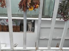 -小时光咖啡馆(北锣鼓巷店)