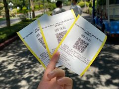 -广州莲花山旅游区