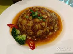 -石头咕(葵蓬店)