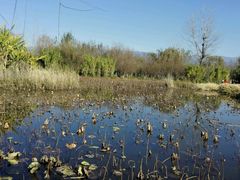 -西昌邛海湿地