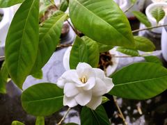 -鱼酷活鱼烤鱼(中联广场店)