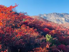 -周口店坡峰岭风景区